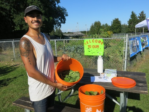 Demonstrating compost tea at Malvern Harvest Festival